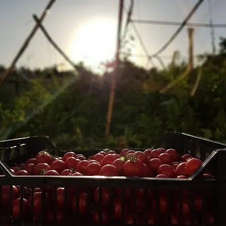 Mystic Garden Appartement